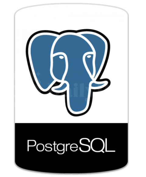 PostgreSQL Logo – Database Management System PNG