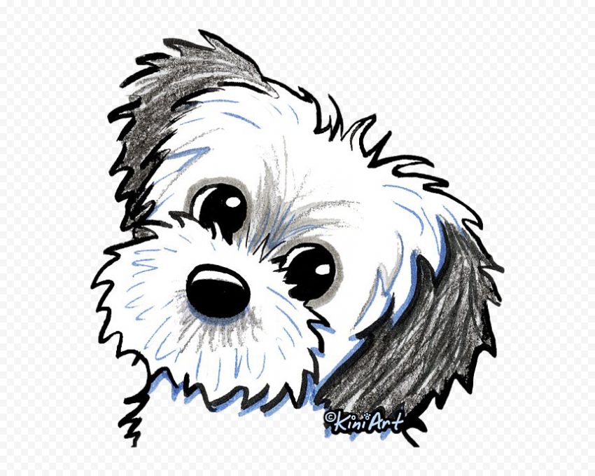 Dog Cute Shih Tzu PNG File