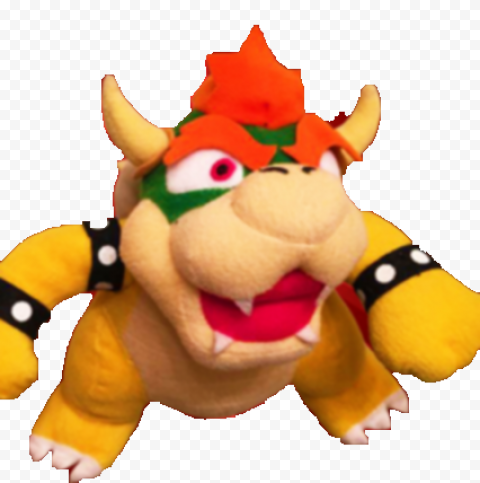 Bowser PNG Photo