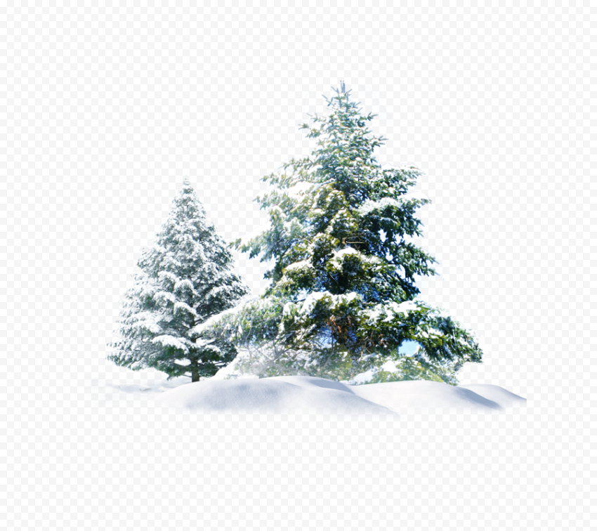 Christmas Tree Snow Christmas Snow Tree Creative
