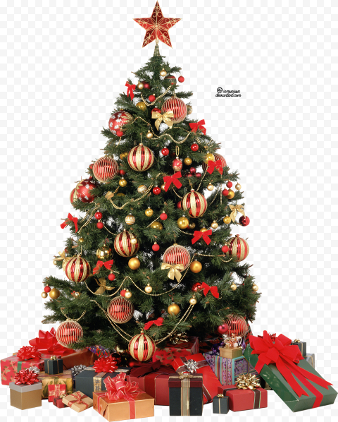 christmas tree picture