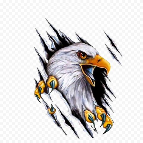 Car Mile High Harley Davidson Motorcycle Decal, eagle, bald eagle painting, animals, pin, bald Eagle