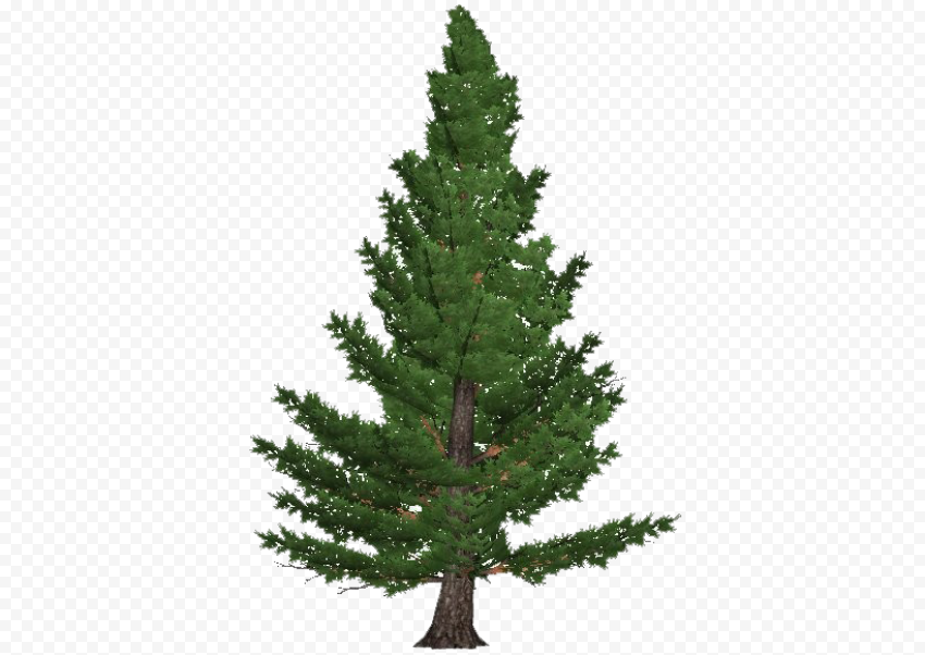 Download Artificial Christmas Tree Transparent PNG