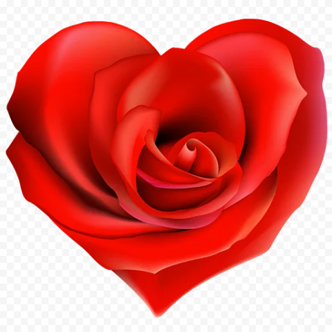 Rose Heart PNG Photos