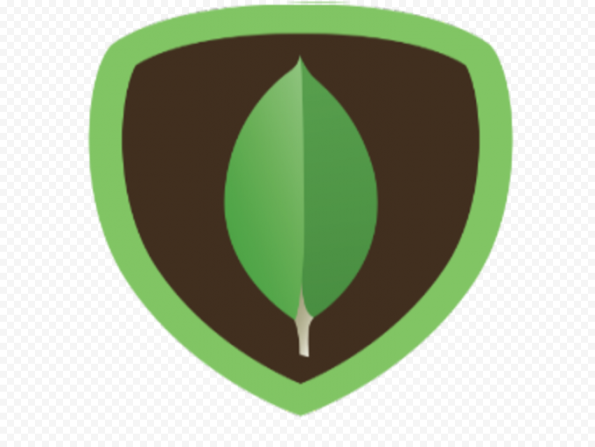 MongoDB Base de données orientée document NoSQL Node js, autres, divers, feuille
