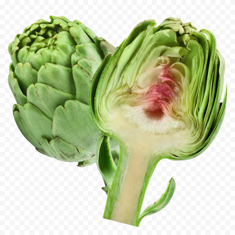 Download artichokes transparent