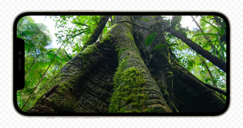 iPhone 12 Transparent