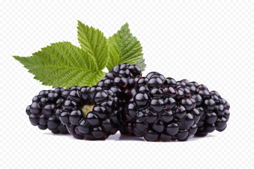 black raspberries hd
