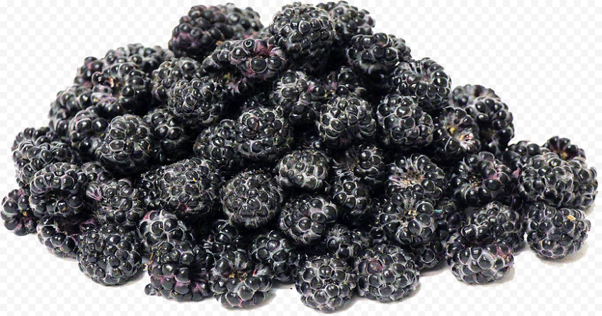 black raspberries transparent image