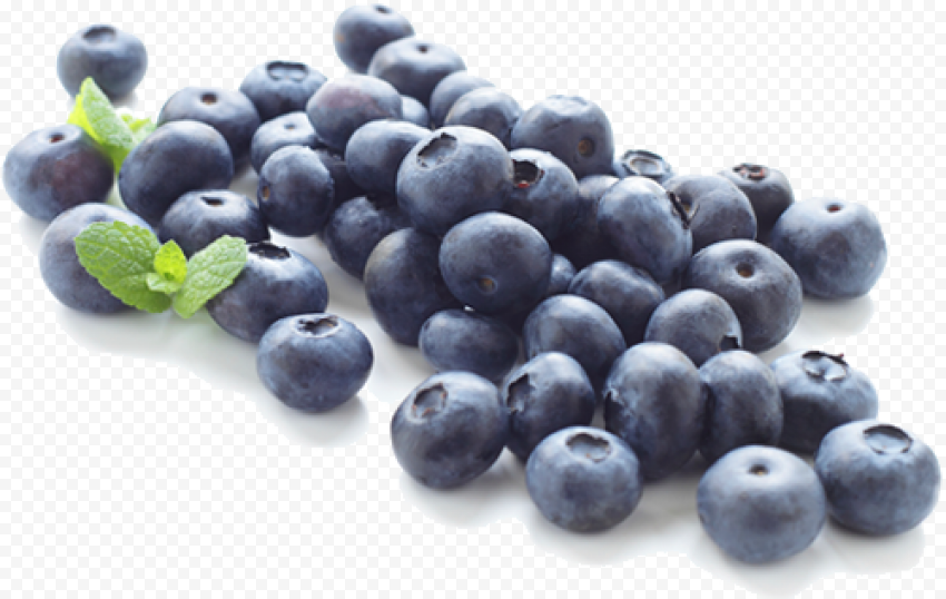 blueberry clipart