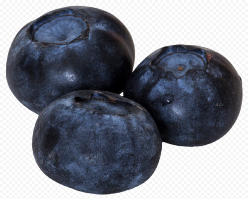 blueberry picture