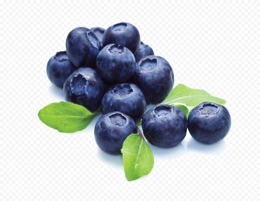 blueberry file