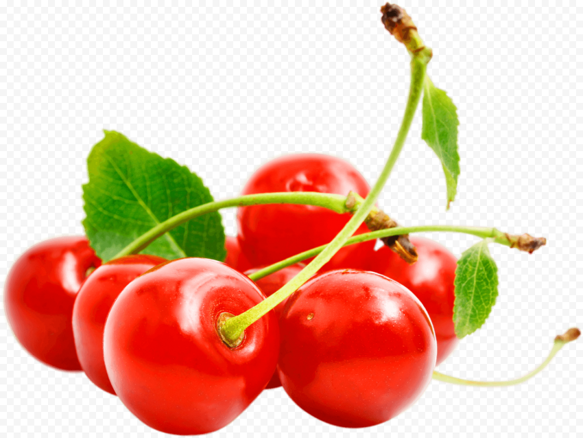 14 red cherry png image download