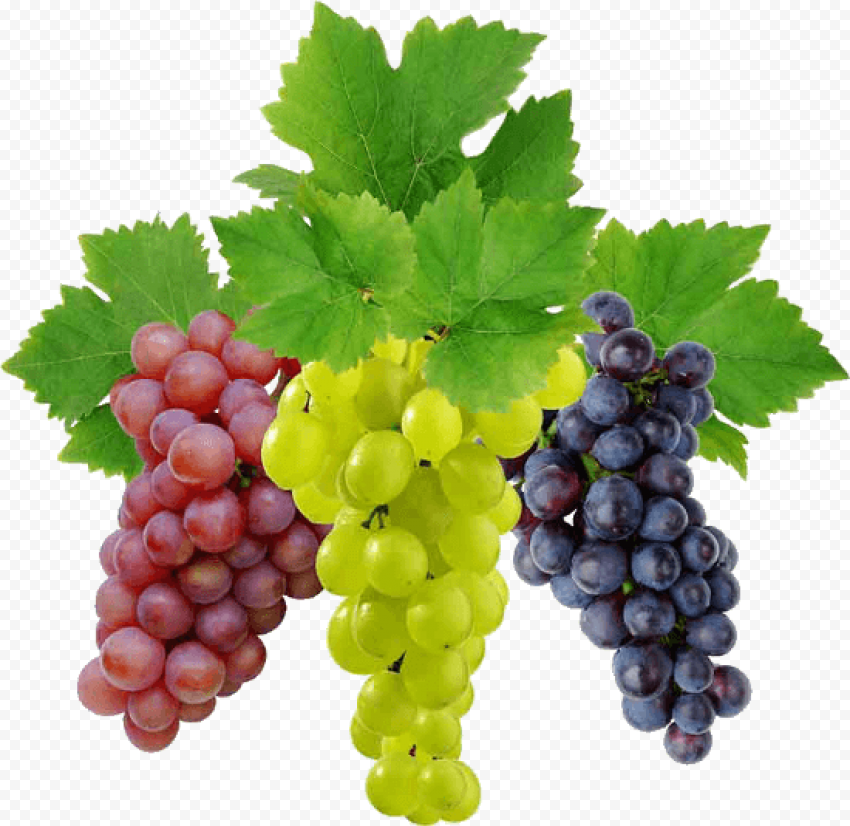 grape png image download picture