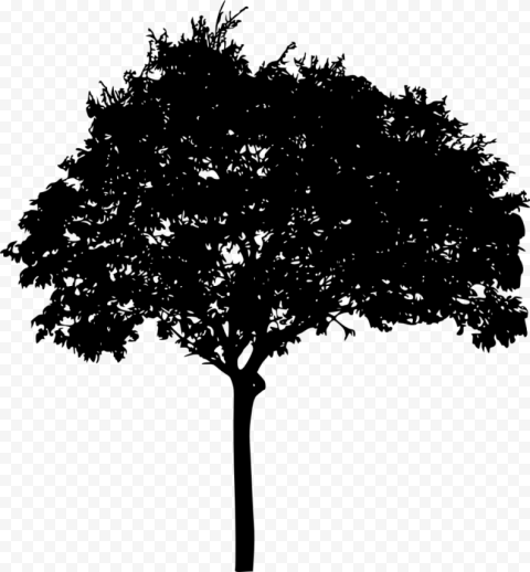 jungle tree silhouette png