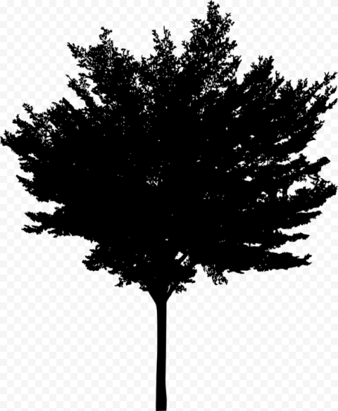 pine tree silhouette png free