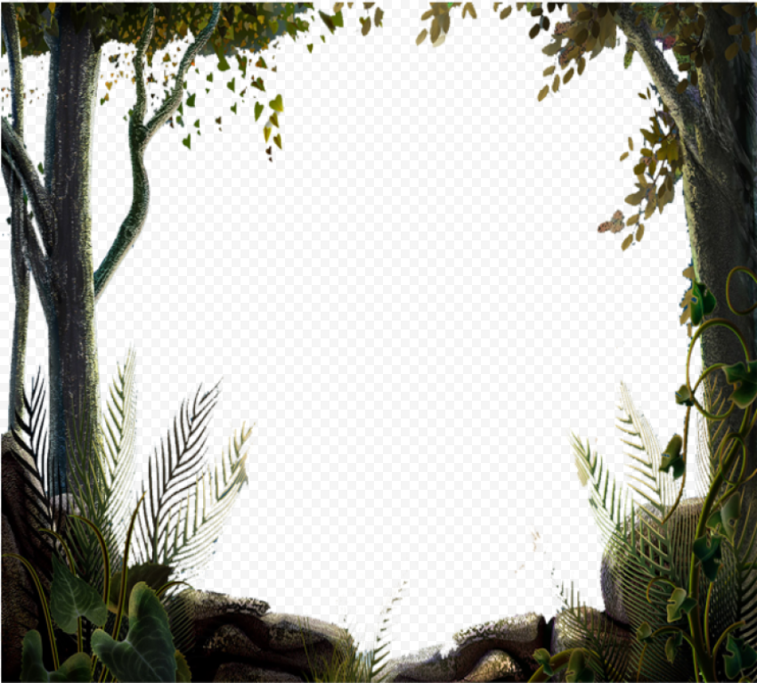 ature tree forest border vector tree nature design nature tree border desi