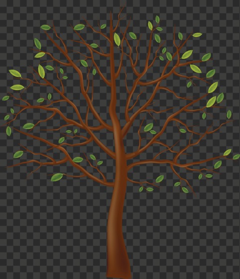 tree 2968x3456