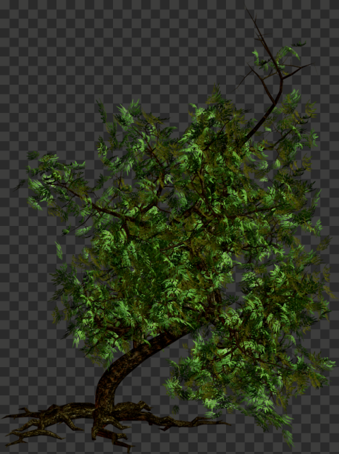 pngtree for free 