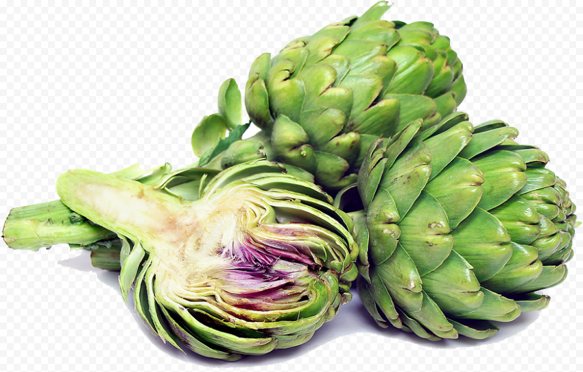 artichokes transparent image