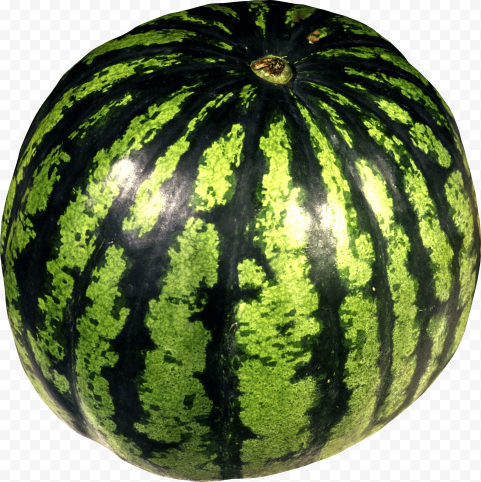 watermelon png image 3