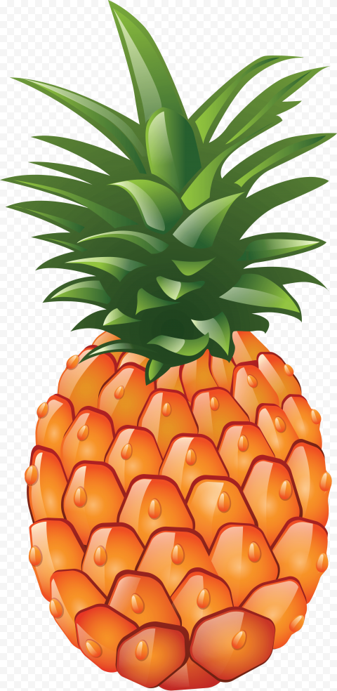 pineapple png image no background