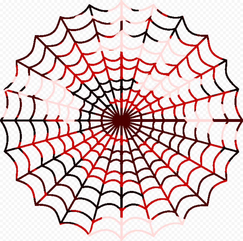 Spider Man with Transparent png
