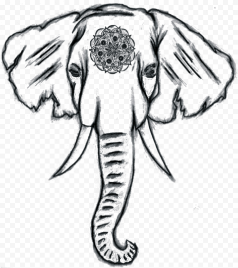 Image Result For Easy Elephant Drawing Tumblr Canvas   Cute Easy Elephants To Draw, HD Png Download