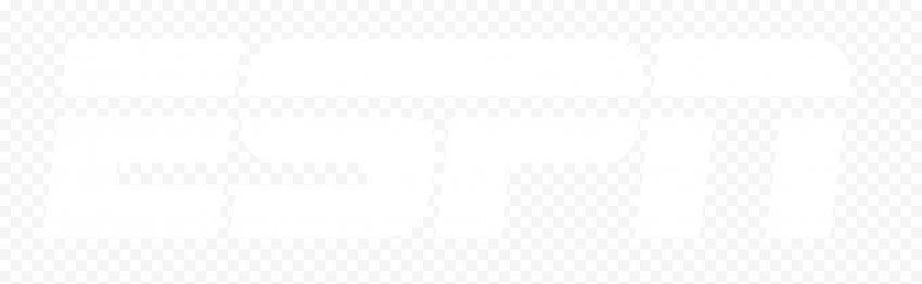 PN WHITE PNG LOGO