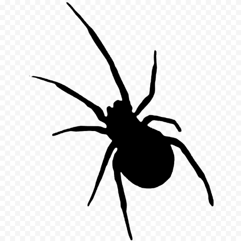 Halloween PNG Transparent Background