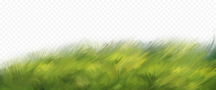 Grass, grass, watercolor, material png