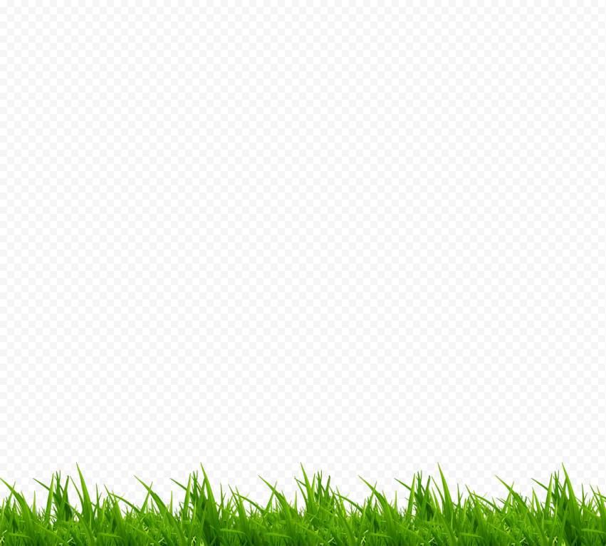 Green grass, angle, grass, environmental Protection png