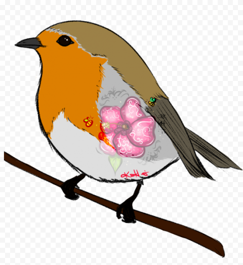 European Robin Bird Transparent HQ