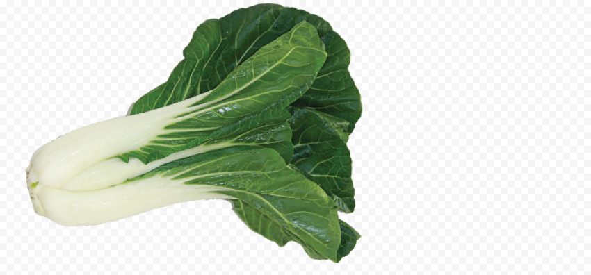 Bok Choy PNG Transparent Image