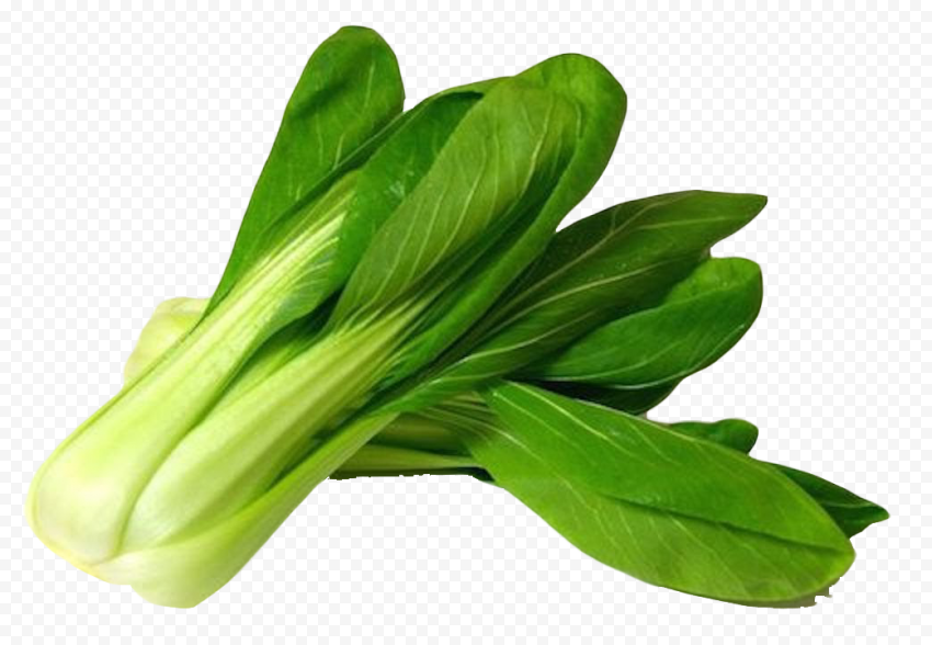 Bok Choy PNG Pic