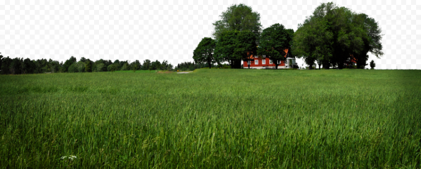 Landscape PNG Image