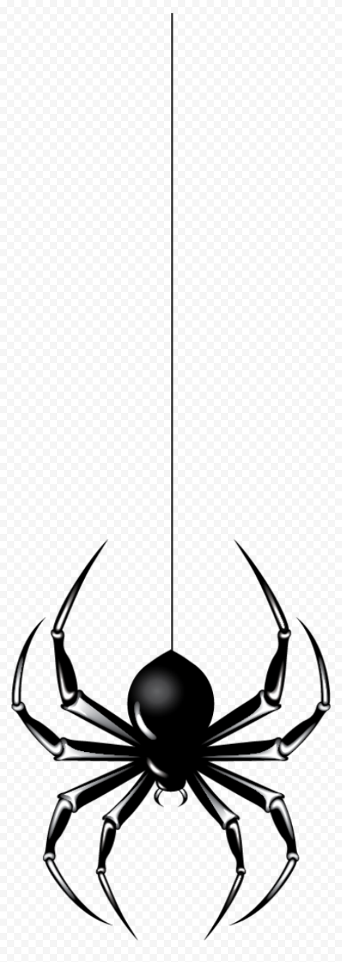 Halloween Spider PNG File