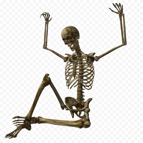 Halloween Skeleton PNG Pic