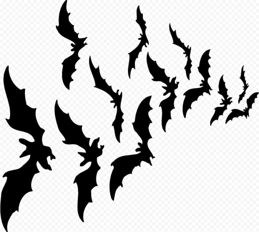 Halloween Bat PNG HD