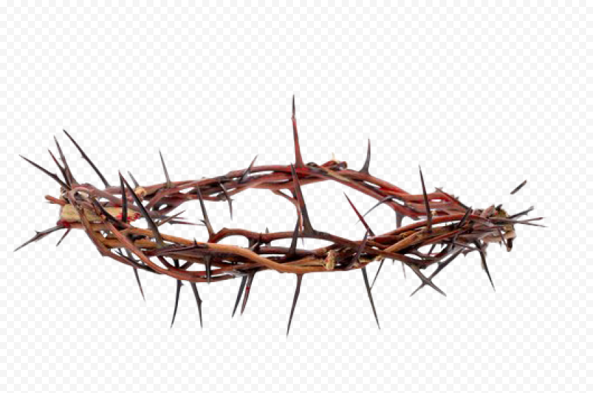 Thorns PNG Transparent Image