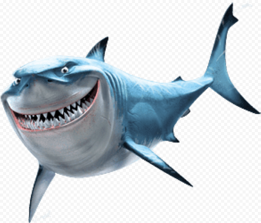 Aquatic Nemo Shark Transparent PNG