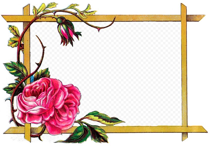 Vector Square Flower Border Frame PNG Transparent Image