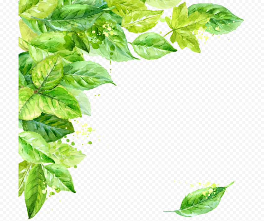 Leaf Frame Transparent Background
