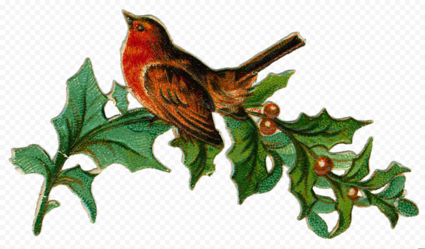 Christmas Bird PNG Clipart
