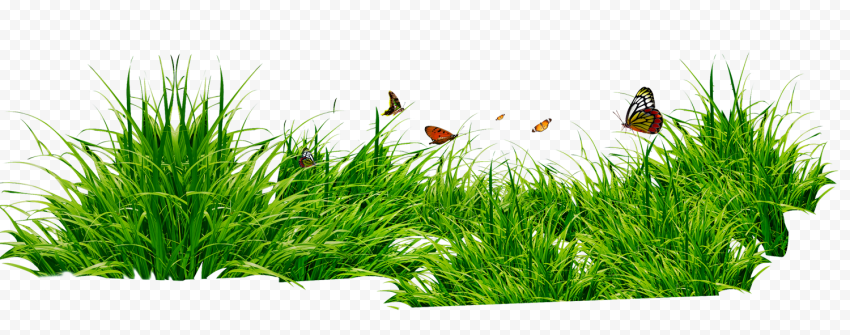 RAR, Grass and butterflies, presentation, butterfly Group, natural
