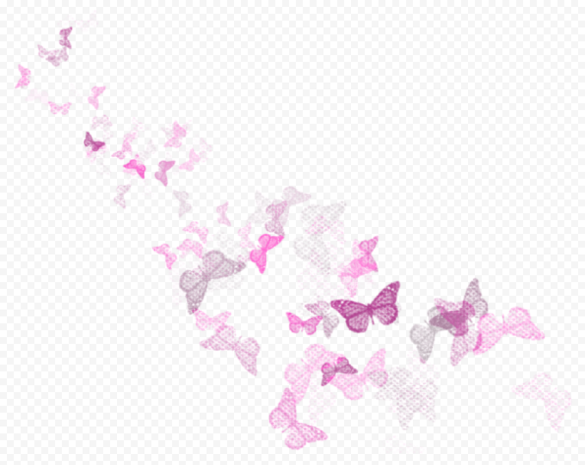 butterflies decorationpicture clipart