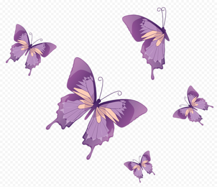 butterflies vector clipart