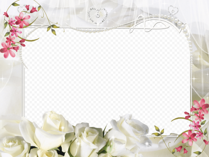 wedding frames PNG image with transparent background