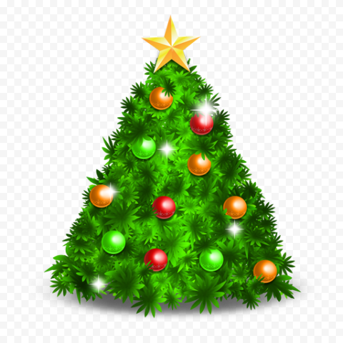 fir pine family christmas decoration for christmas 1