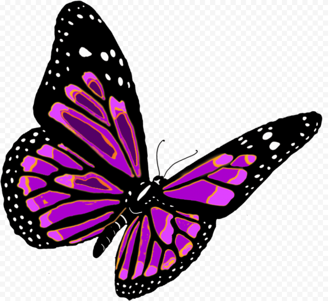 neon butterfly png download